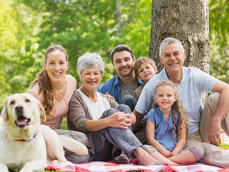 Budget 2017 : Individuals & Families