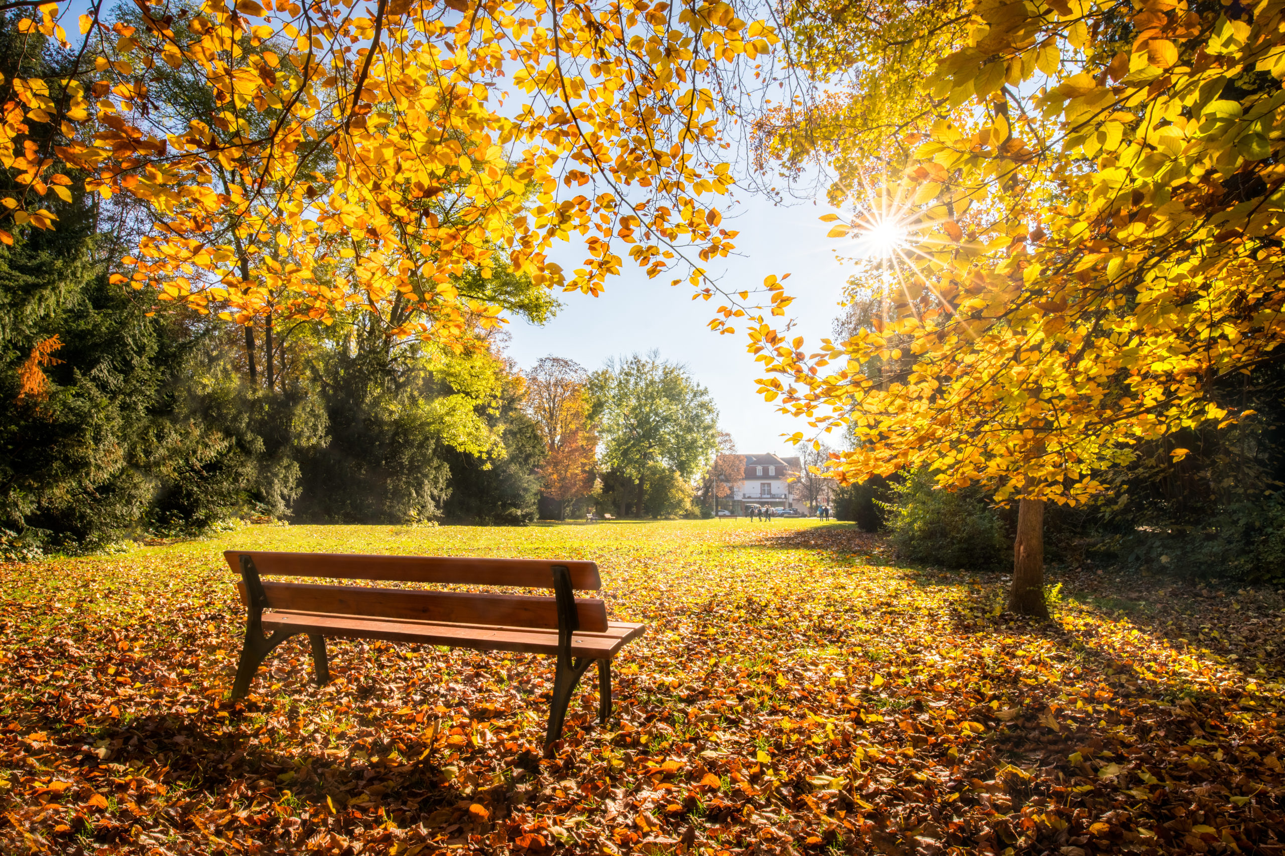 Investment Outlook: Autumn