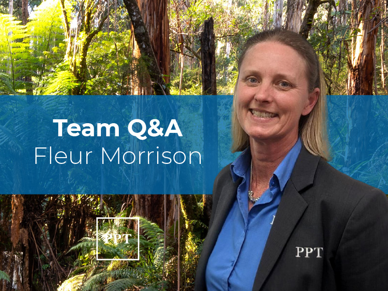 Team Q&A: Fleur Morrison