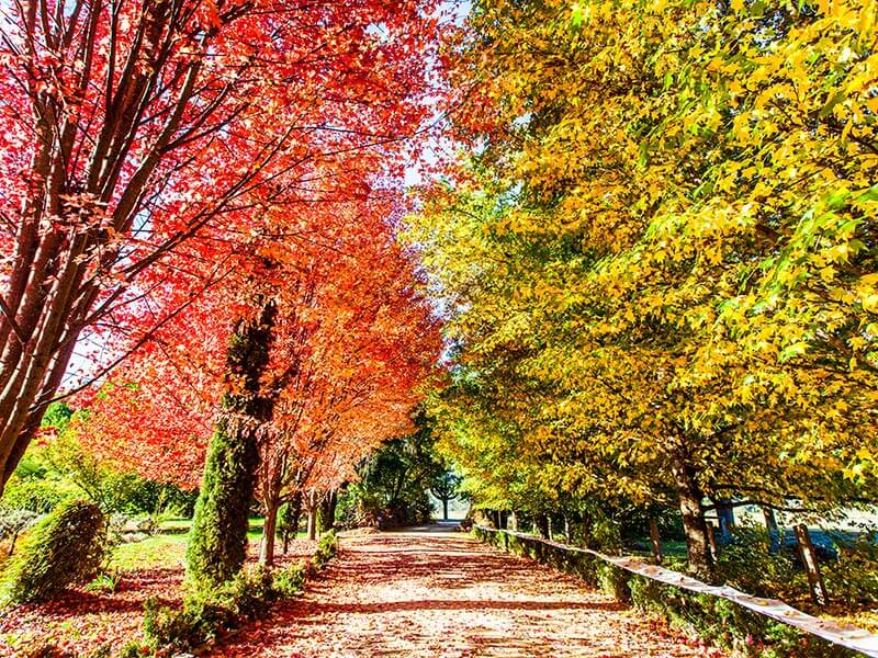 Investment Outlook: Autumn Edition