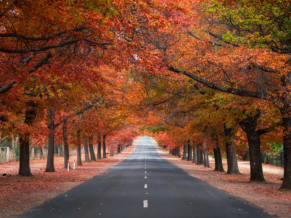 Investment Outlook: Autumn